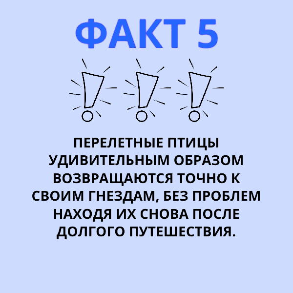 6 1715565570169 (1).jpg